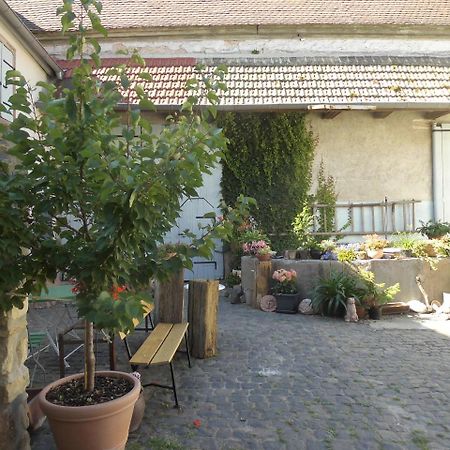 Gaestezimmer Mittelgasse Florsheim-Dalsheim Εξωτερικό φωτογραφία