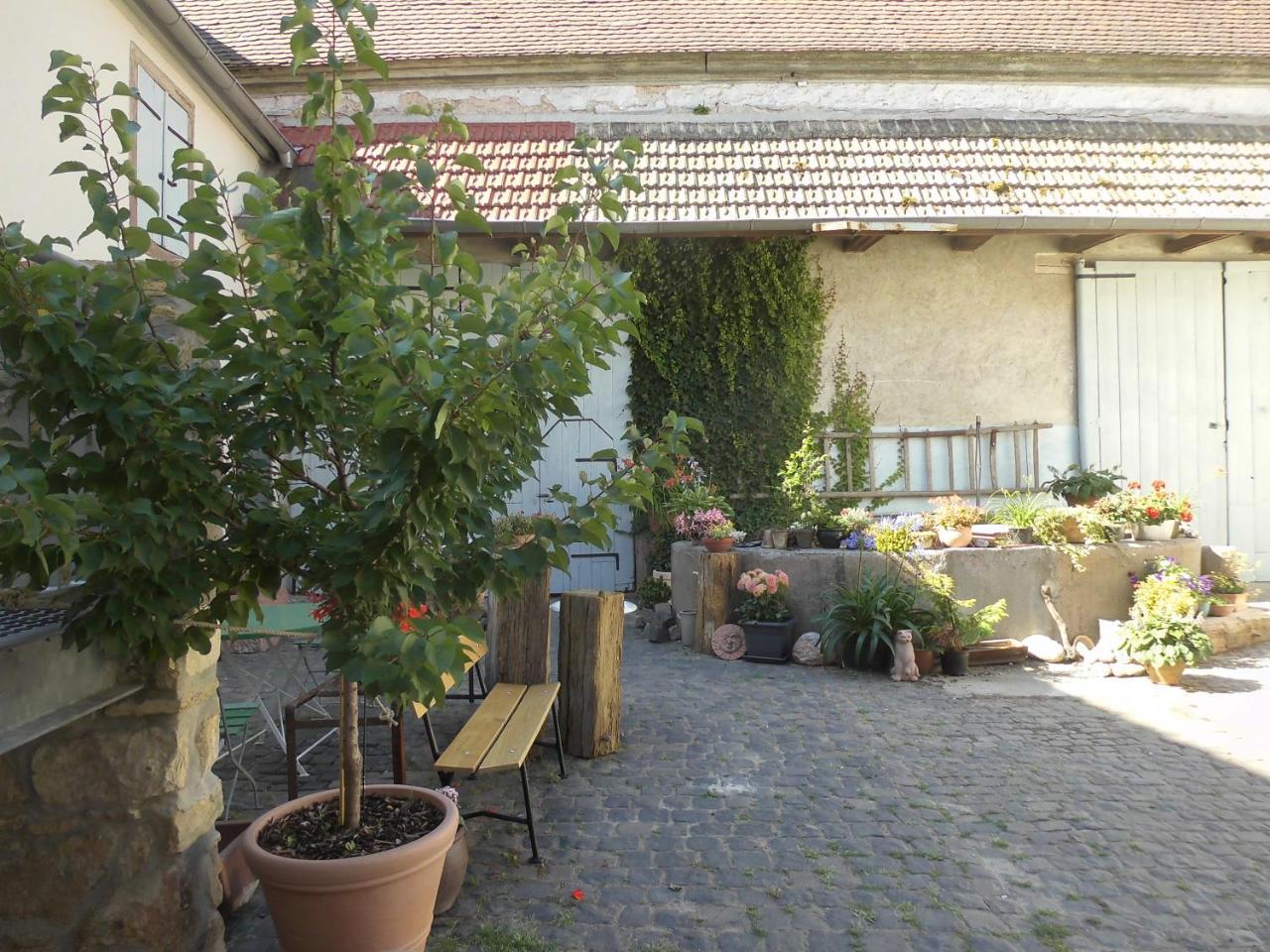 Gaestezimmer Mittelgasse Florsheim-Dalsheim Εξωτερικό φωτογραφία